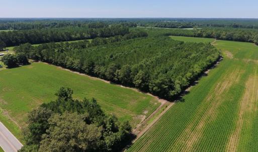 Photo of UNDER CONTRACT!  61.43 Acres of Farm and Timber Land For Sale in Wilson County NC!