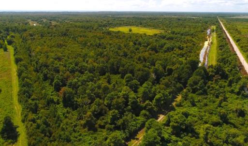 Photo of 251 Acres of Recreational Hunting Land with Lodge For Sale in Hyde County NC!