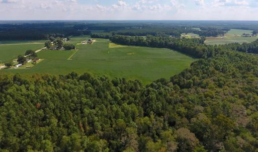 Photo of UNDER CONTRACT!  43 Acres of Farm and Timber Land For Sale in Wilson County NC!