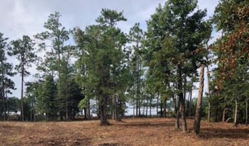 Photo of UNDER CONTRACT!  1.24 Acre Waterfront Lot For Sale on the Bay River in Pamlico County NC!