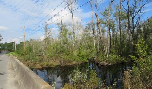 Photo of UNDER CONTRACT!  70 Acres of Hunting Land For Sale in Robeson County NC!