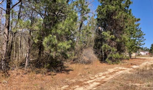 Photo of UNDER CONTRACT!  11.77 Acres of Residential and Hunting land for Sale in Harnett County, NC!