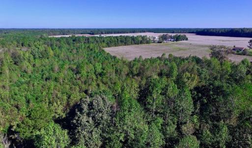 Photo of UNDER CONTRACT!  24.5 Acres of Farm and Hunting Land For Sale in Halifax County NC!