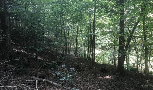 Photo of UNDER CONTRACT!  15.25 Acres of Residential Hunting and Timber Land For Sale in Bladen County NC!