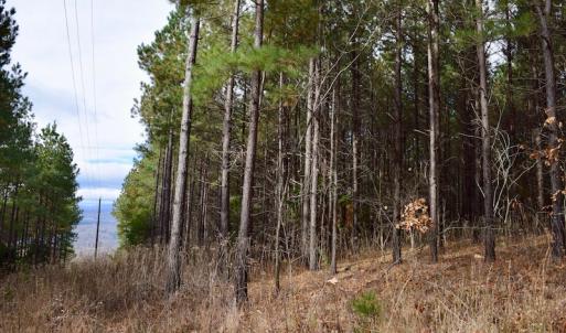 Photo of UNDER CONTRACT!  40 Acres of Recreational and Residential Land for Sale in Botetourt County VA!