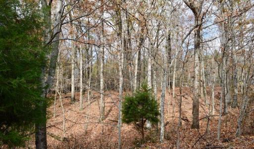 Photo of UNDER CONTRACT!  40 Acres of Recreational and Residential Land for Sale in Botetourt County VA!