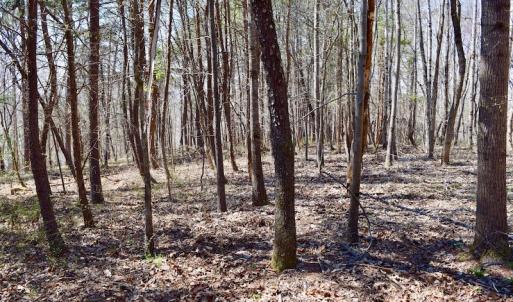 Photo of REDUCED!  5.4 Acres of Waterfront Recreational Land For Sale in Bedford County VA!