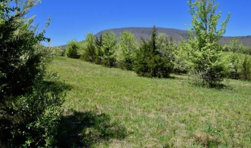 Photo of SOLD!  20 Acres of Equestrian Farm and Residential Land For Sale in Rockbridge County VA!