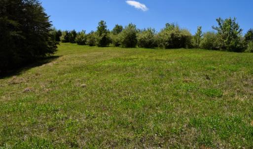 Photo of SOLD!  20 Acres of Equestrian Farm and Residential Land For Sale in Rockbridge County VA!