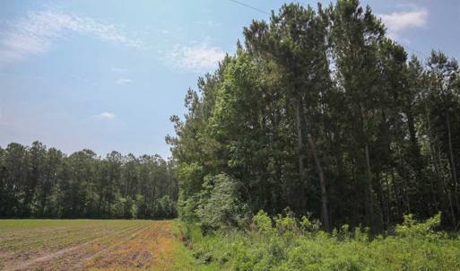 Photo of SOLD!! 2 Acre Building Lot For Sale in Chowan County NC!