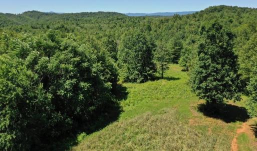 Photo of SOLD!!  373 Acres of Residential Hunting and Recreational Land For Sale in Franklin County VA!
