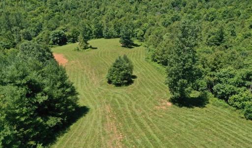 Photo of SOLD!!  373 Acres of Residential Hunting and Recreational Land For Sale in Franklin County VA!