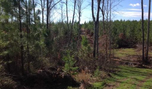 Photo of SOLD!!  8 Acres of Hunting Land for Sale in Halifax County VA!