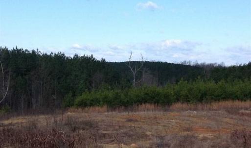 Photo of SOLD!!  54 Acres of Hunting Land for Sale in Halifax County VA!
