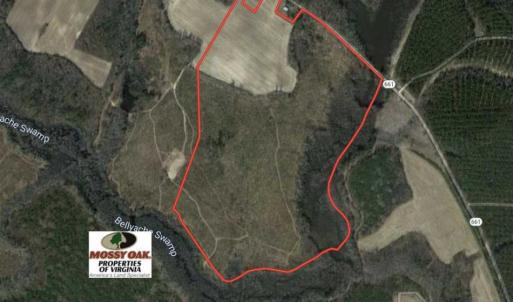 Photo of SOLD!  70 Acres of Hunting Land for Sale in Southampton County, VA