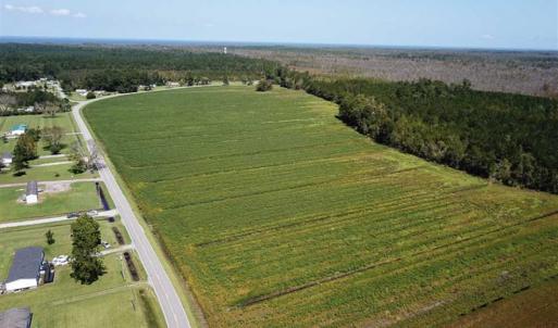Photo of SOLD!!  52 Acres of Farm and Hunting Land For Sale in Tyrrell County NC!