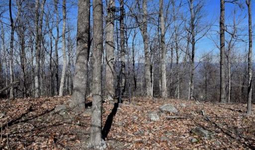 Photo of SOLD!!  81 Acres of Hunting and Recreational Land For Sale in Franklin County VA!