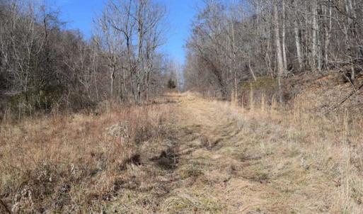 Photo of SOLD!!  81 Acres of Hunting and Recreational Land For Sale in Franklin County VA!