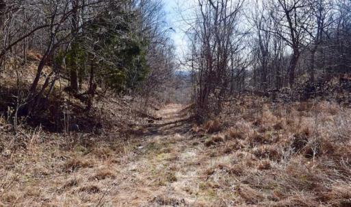 Photo of SOLD!!  81 Acres of Hunting and Recreational Land For Sale in Franklin County VA!