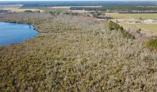 Photo of SOLD!!  220 Acres of Hunting Land for Sale in Tyrrell County NC!