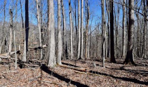 Photo of SOLD!!  5 Acres of Residential Lake & Hunting Land in Bedford County VA!