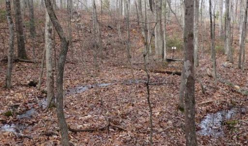 Photo of SOLD!!  20 Acres of Residential and Timber Land For Sale in Augusta County VA!