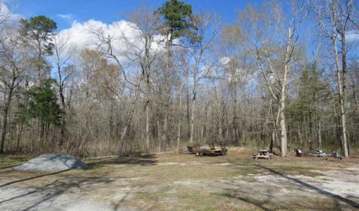 Photo of UNDER CONTRACT!!  21 Acres of Residential and Hunting Land in Pender County NC!