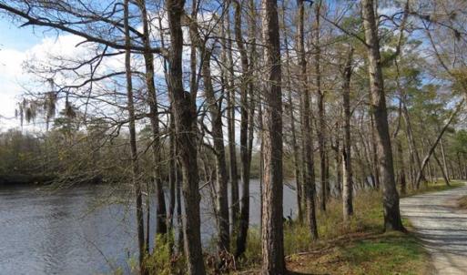 Photo of UNDER CONTRACT!!  21 Acres of Residential and Hunting Land in Pender County NC!