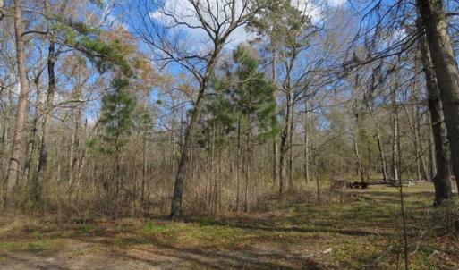 Photo of UNDER CONTRACT!!  21 Acres of Residential and Hunting Land in Pender County NC!