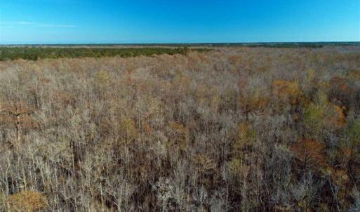 Photo of UNDER CONTRACT!!  21 Acres of Residential and Hunting Land in Pender County NC!