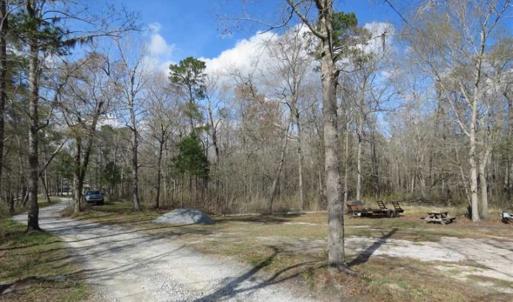 Photo of UNDER CONTRACT!!  21 Acres of Residential and Hunting Land in Pender County NC!