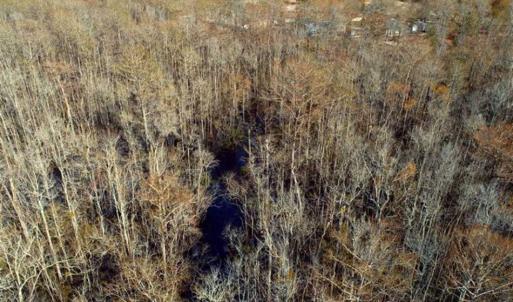 Photo of UNDER CONTRACT!!  21 Acres of Residential and Hunting Land in Pender County NC!