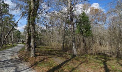 Photo of UNDER CONTRACT!!  21 Acres of Residential and Hunting Land in Pender County NC!