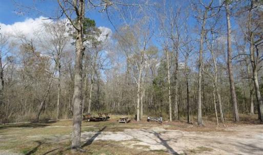 Photo of UNDER CONTRACT!!  21 Acres of Residential and Hunting Land in Pender County NC!