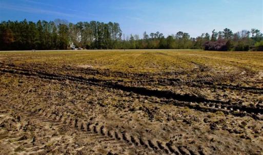 Photo of SOLD!!  8.38 Acres of Farm Land For Sale in Pamlico County NC!