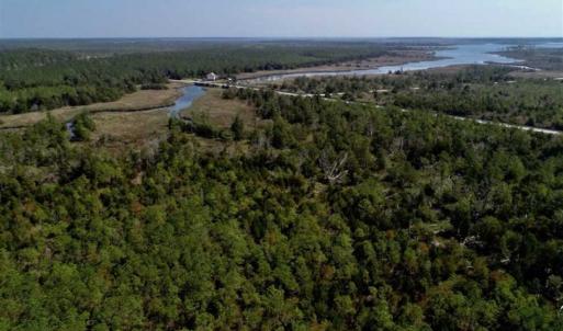 Photo of SOLD!!  218 Acres of Farm and Timber Land in Pamlico County NC!