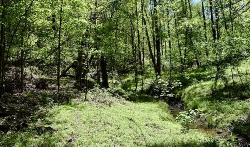 Photo of SOLD!!  34 Acres with Mountain Views & Country Home For Sale in Bedford County VA!