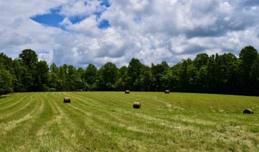 Photo of SOLD!!  54 Acres of Hunting and Recreational Land For Sale in Franklin County VA!
