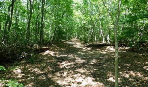 Photo of SOLD!!  21 Acres of Hunting and Timber Land for Sale in Patrick County VA!