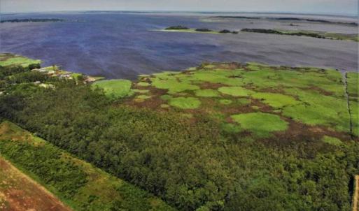 Photo of UNDER CONTRACT!!  109.38 Acres of Waterfront Land For Sale in Currituck County NC!