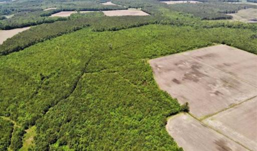 Photo of SOLD!!  245 Acres of Hunting Land with Cabin for Sale in Gates County NC!
