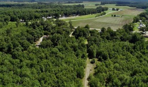 Photo of SOLD!!  36.5 Acres of Riverfront Hunting Land in Craven County NC!