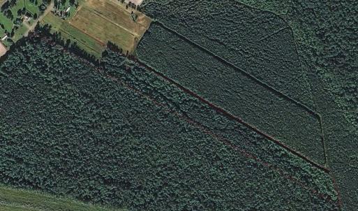 Photo of SOLD!!  21 Acres of Hunting and Timber Land For Sale in Perquimans County NC!