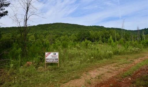 Photo of SOLD!!  52.96 Acres of Hunting Land For Sale in Franklin County VA!
