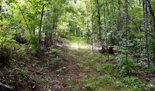 Photo of SOLD!!  52.96 Acres of Hunting Land For Sale in Franklin County VA!