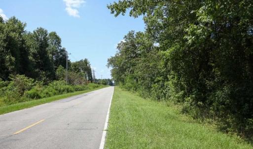 Photo of 72 Acres of Timber and Hunting Land For Sale in Bertie County NC!