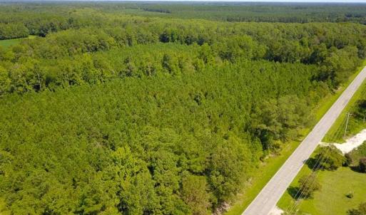 Photo of 72 Acres of Timber and Hunting Land For Sale in Bertie County NC!