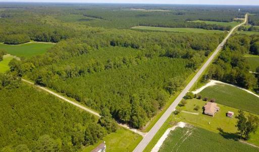 Photo of 72 Acres of Timber and Hunting Land For Sale in Bertie County NC!