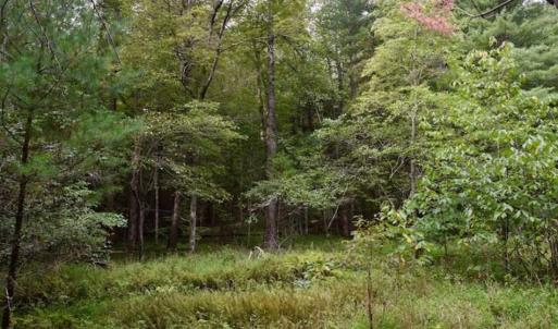 Photo of SOLD!!  7.5 Acres of Residential and Hunting Land For Sale in Amherst County VA!