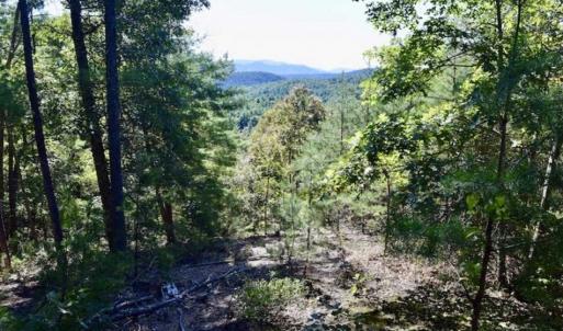 Photo of SOLD!!  55 Acres of Hunting and Recreational Land For Sale in Alleghany County VA!
